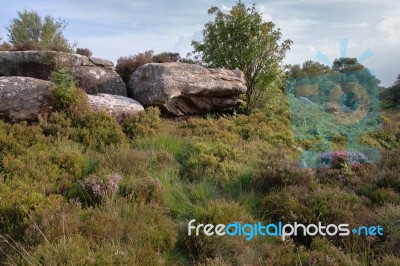 Scenic View Of Brimham Rocks In Yorkshire Dales National Park Stock Photo