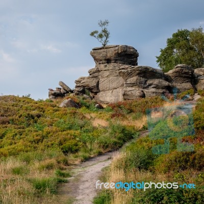 Scenic View Of Brimham Rocks In Yorkshire Dales National Park Stock Photo