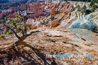 Scenic View Of Bryce Canyon Southern Utah Usa Stock Photo