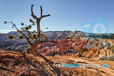 Scenic View Of Bryce Canyon Southern Utah Usa Stock Photo