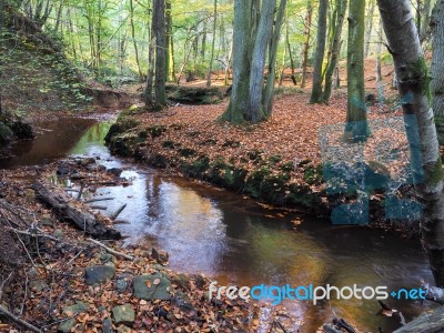 Scenic View Of The Ashdown Forest In Sussex Stock Photo