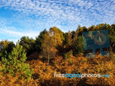 Scenic View Of The Ashdown Forest In Sussex Stock Photo