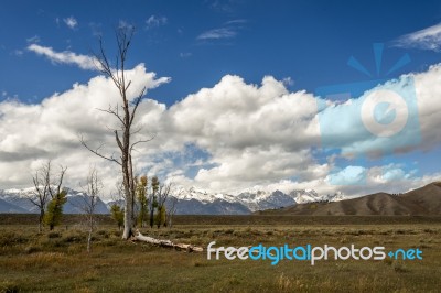 Scenic View Of The Countryside Around The Grand Teton National P… Stock Photo