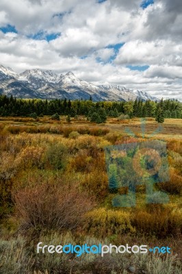 Scenic View Of The Grand Teton National Park Stock Photo