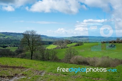 Scenic View Of The Undulating Countryside Of Somerset Stock Photo