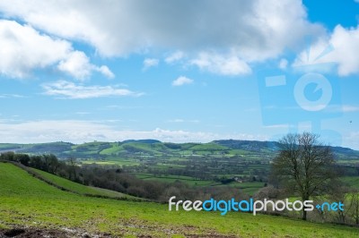 Scenic View Of The Undulating Countryside Of Somerset Stock Photo