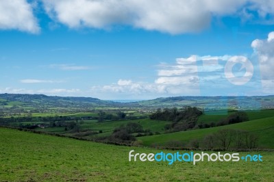 Scenic View Of The Undulating Countryside Of Somerset Stock Photo