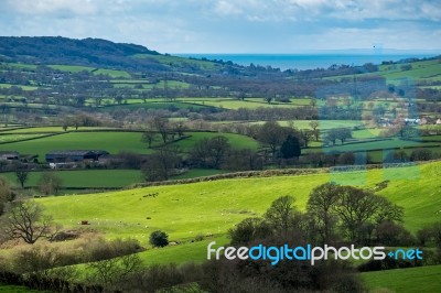 Scenic View Of The Undulating Countryside Of Somerset Stock Photo