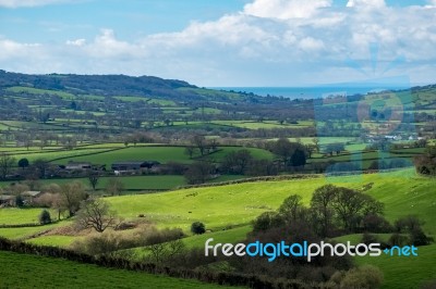 Scenic View Of The Undulating Countryside Of Somerset Stock Photo