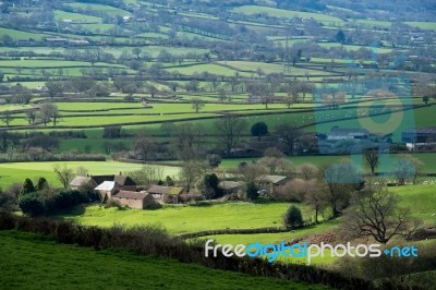 Scenic View Of The Undulating Countryside Of Somerset Stock Photo