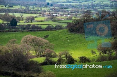 Scenic View Of The Undulating Countryside Of Somerset Stock Photo