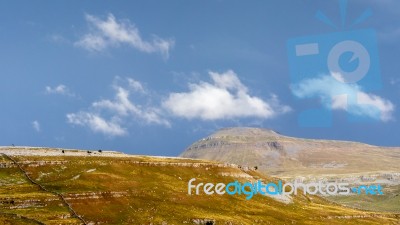 Scenic View Of Typical Countryside In Yorkshire Dales National P… Stock Photo