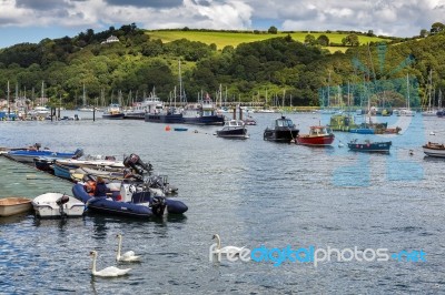 Scenic View Up The River Dart Stock Photo