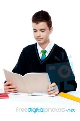 School Boy Reading Stock Photo