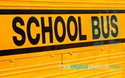 School Bus Stock Photo