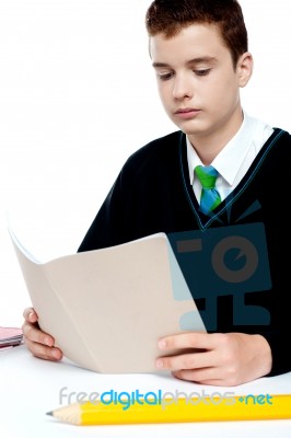 Schoolboy Reading Stock Photo