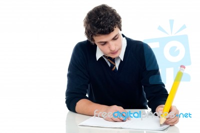 Schoolboy Writing On Notebook Stock Photo