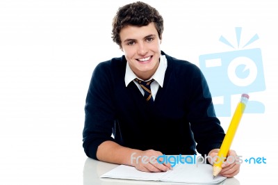 Schoolboy Writing On Notebook Stock Photo