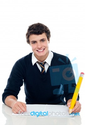 Schoolboy Writing On Notebook Stock Photo