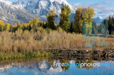 Schwabachers Landing Stock Photo