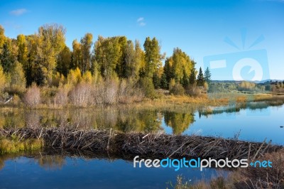 Schwabachers Landing Stock Photo