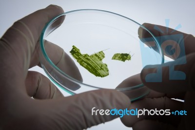 Scientists Are Experimenting Stock Photo