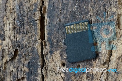 Sd Card Stock Photo