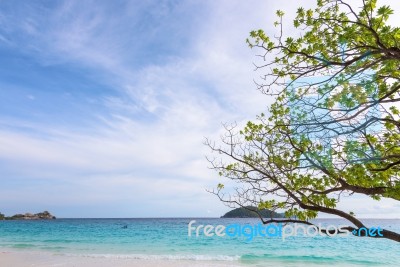 Sea And Beach Of Similan Island In Thailand Stock Photo