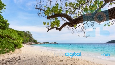 Sea And Beach Of Similan Island In Thailand Stock Photo