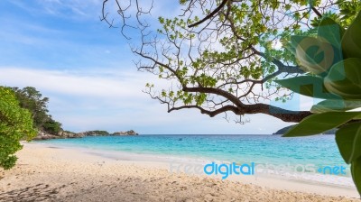 Sea And Beach Of Similan Island In Thailand Stock Photo