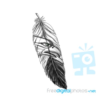 Sea Eagle Feather Tattoo Stock Image