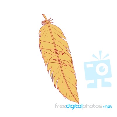 Sea Eagle Head Inside Feather Drawing Stock Image