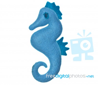 Sea Horse Stock Photo