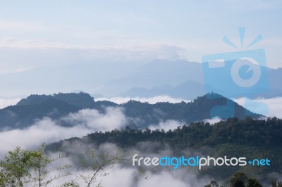 Sea Of Mist View Point At Mae Moei Stock Photo