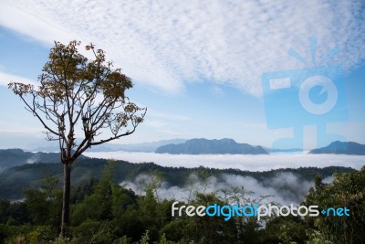 Sea Of Mist View Point At Mae Moei Stock Photo