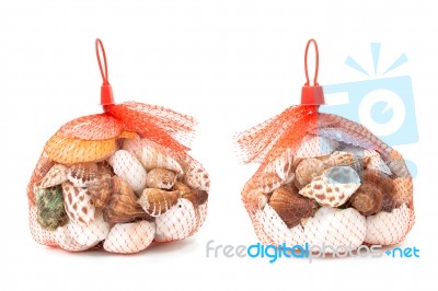 Sea Shell In Red Net On White Background Stock Photo