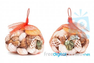 Sea Shell In Red Net On White Background Stock Photo