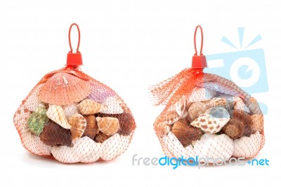 Sea Shell In Red Net On White Background Stock Photo