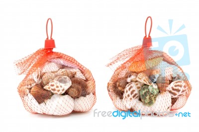 Sea Shell In Red Net On White Background Stock Photo