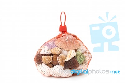 Sea Shell In Red Net On White Background Stock Photo