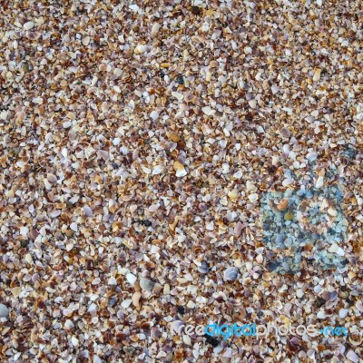 Sea Shells On Sand Stock Photo