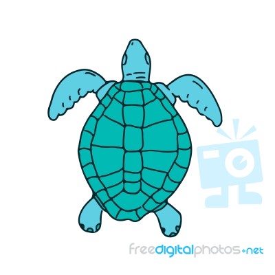 Sea Turtle Swimming Drawing Stock Image