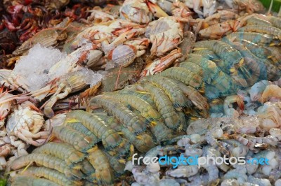 Seafood Stock Photo