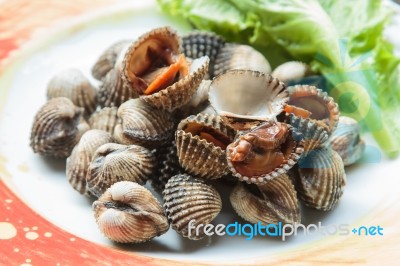 Seafood Stock Photo