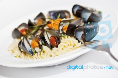 Seafood Fusilli Pasta Stock Photo