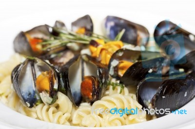 Seafood Fusilli Pasta Stock Photo