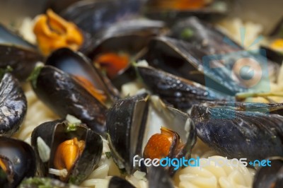 Seafood Fusilli Pasta Stock Photo