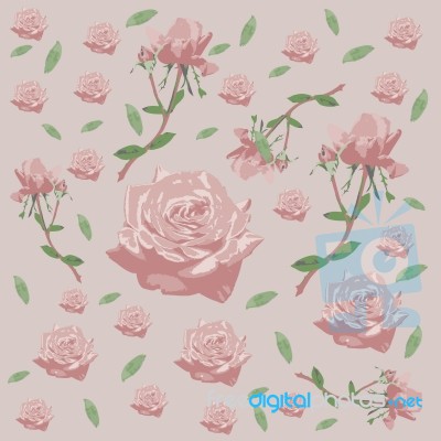 Seamless Floral Pattern With Roses - Flower - Illustration Stock Image