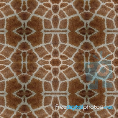 Seamless Pattern Stock Photo