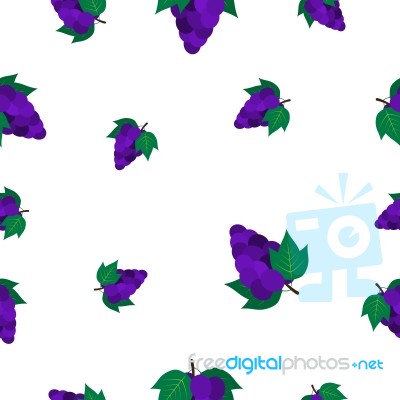 Seamless Pattern With Grape  Illustration Stock Image